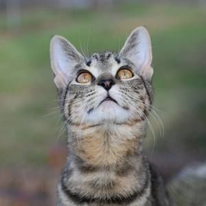 Meet your Posher, Teresa